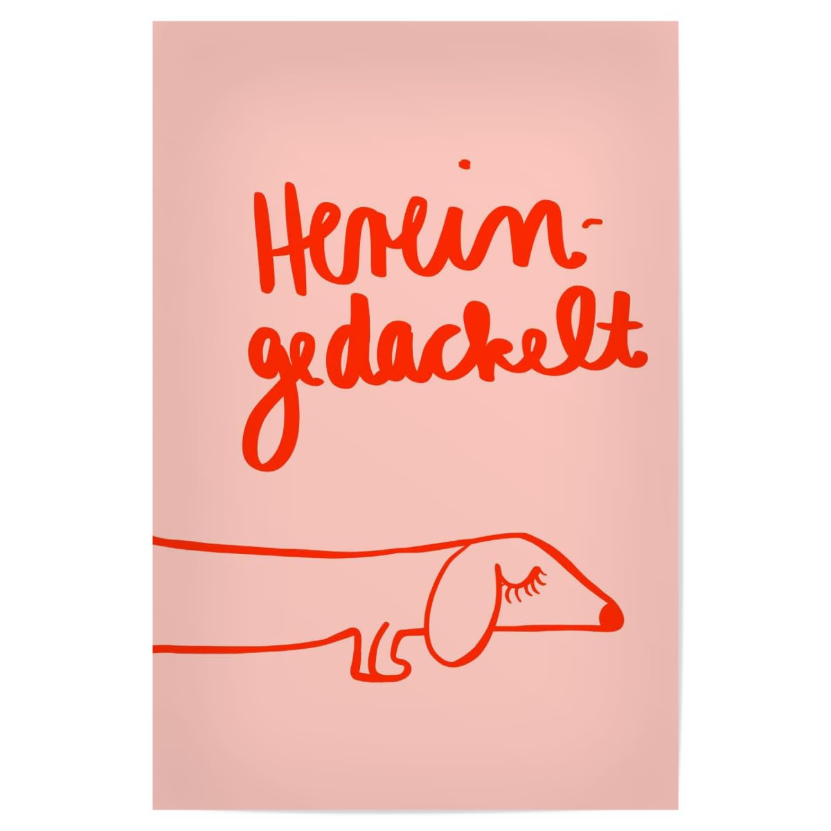 artboxONE Poster 90x60 cm Typografie Hereingedackelt hochwertiger Design Kunstdruck - Bild dackel gedackel gedackelt