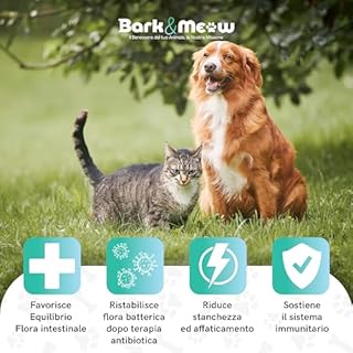 FlorActive Fermenti Probiotici per cani e gatti 1,4 miliardi UFC. Favorisce l'equilibrio intestinale e ristabilisce la flora batterica. Con Prebiotici FOS e MOS. 30 Compresse