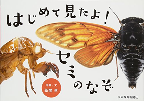 空とぶえほん はじめて見たよ セミのなぞ セミの奥深さが学べる