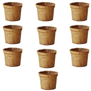 Pokugiardini Kokosfaser Anzuchttöpfe, 10 Stck.