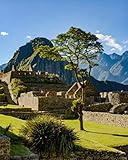 Paint by Numbers Kits Digital Oil Painting for Kid Adult Beginner Drawing Paintwork with Frame Home...