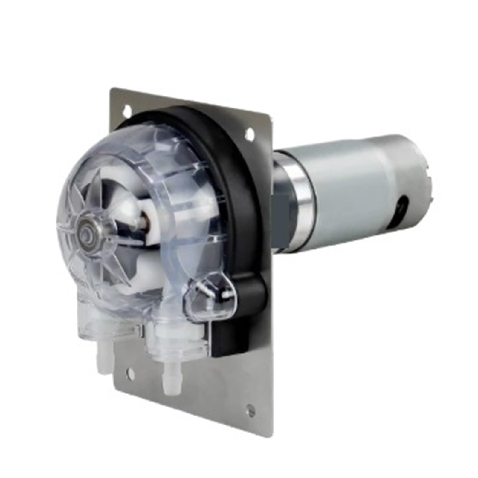 ZLX-24V-300R-17 Peristaltic Metering Pump