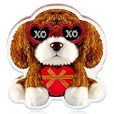 FLYAB Valentines Day Gifts for Women - Acrylic XOXO Dog Paperweight Gifts for Girlfriend from Boyfriend Birthday Anniversary for Wife Home Plaque Desk Decoration