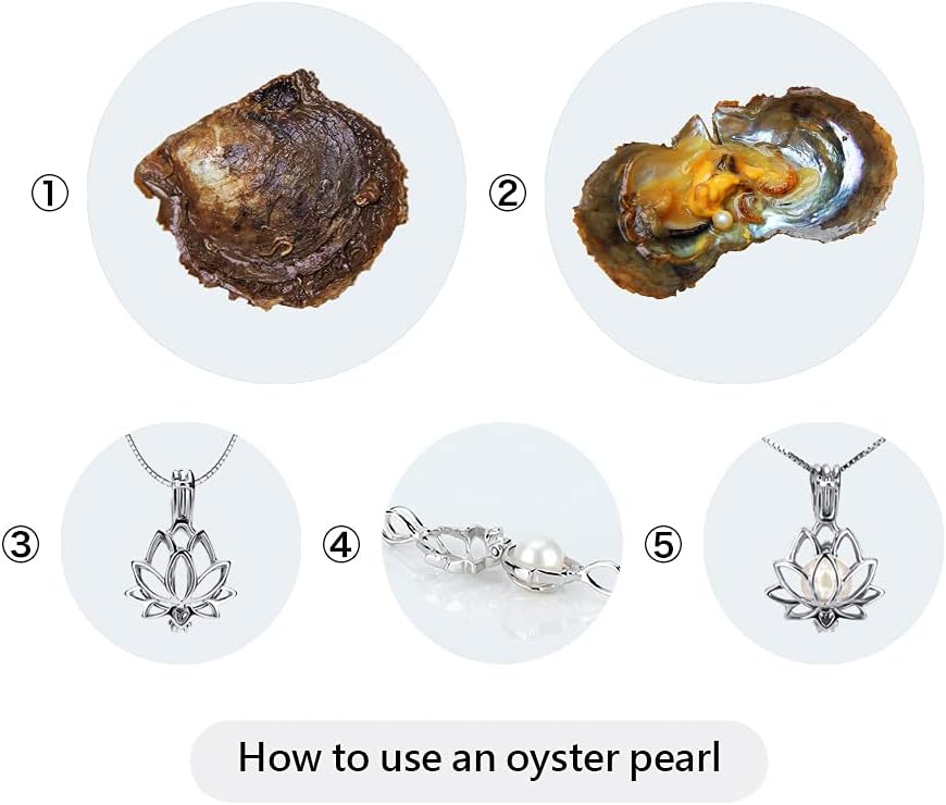 7-8mm Mixed Colored Akoya Saltwater Cultured Pearl Oysters for DIY Jewelry Making, Pack of 5Pcs(White/Pink/Purple/Black)