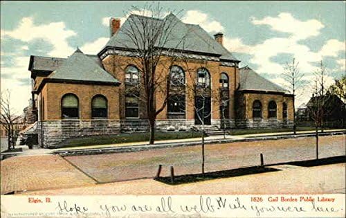 Gail Borden Public Library Elgin, Illinois IL Original Antique Postcard ...