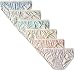 Hanes Women's 6 Pack Lace Effects Bikini