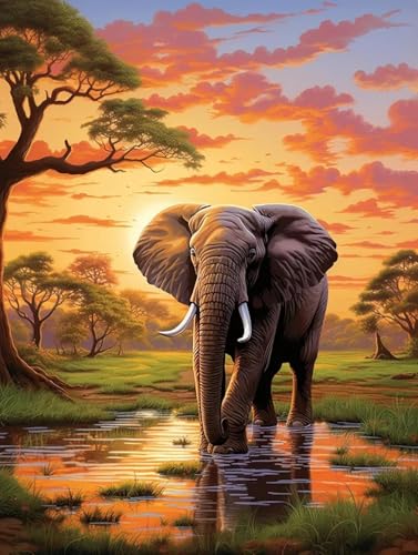 Pintura de diamantes 5D de elefante: tu nuevo pasatiempo creativo de 40x50 cm