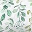 Green Sage Leaf