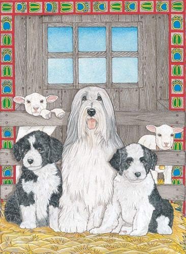 Animal Theme Gifts, Bearded Collie Blank Note Cards Boxed