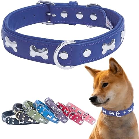 Angel Pet Supplies Genuine Leather Bones Studded Dog Collar, Soft and Durable Padded Leather. (26” x 1¼”, Blue), 41317 Cover