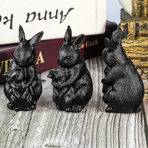 Mookaitedecor Black Obsidian Crystal Rabbit Hand Carved Bunny Ornament for Home Healing Crystal Animal Gift - Image 3