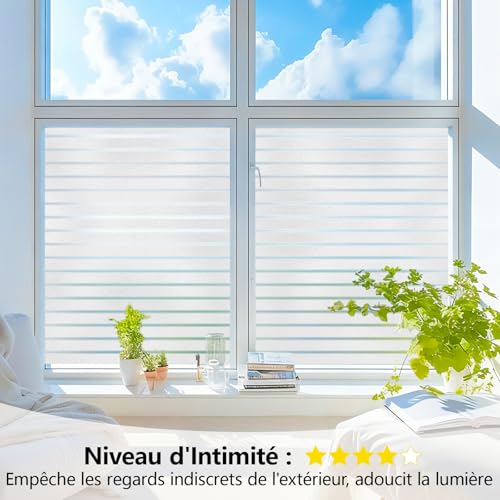 Film Fenêtre Anti Regard Dépoli Rayure - Solution Vis-à-Vis Électrostatique pour Vitrage Maison - 4
