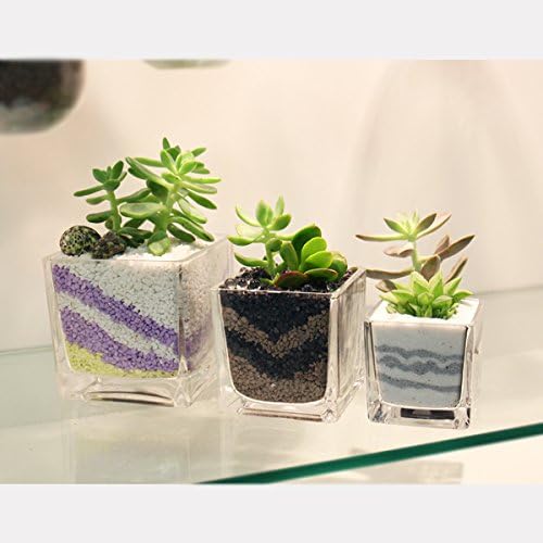 Miniatura 4 de Vaso de vidrio cuadrado, 5 X 5 X 5 pulgadas, 12 unidades