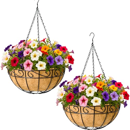 SMYAXUNW 12 Inch Hanging Planters 2 Pack Round Metal Baskets with Coco Liners for Indoor Outdoor Gardens Porch Patio Decor Farmhouse Country Style Garden Decor