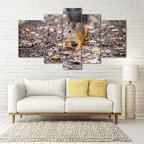 Impression Image Décoration Murale Tableau écureuil triptyque 5 pcs - 5