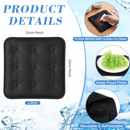 Image of LemonRoad 6 Pcs Cooling Mat for Food Buffet Table, 9 x 9 Inches Reusable Freezable Ice Mat Cooling Pads Chilled Serving Tray Charcuterie Cold Platter for Cheese, Veggie, Party, Picnic(Square,Black)