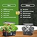 Ahopegarden Indoor Garden Hydroponics Growing System: 10 Pods Plant Germination Kit Herb Vegetable Growth Lamp Countertop with LED Grow Light - Hydrophonic Planter Grower Harvest Lettuce