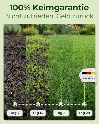Rasensamen Schnellkeimend Frühjahr – TEST SEHR GUT – Grassamen Schnellkeimend für Rasen & Rasen Nachsaat 1kg 40qm – Rasensaat für Nachsaat Rasen Frühjahr, Saisonstart, kräftiges Wachstum