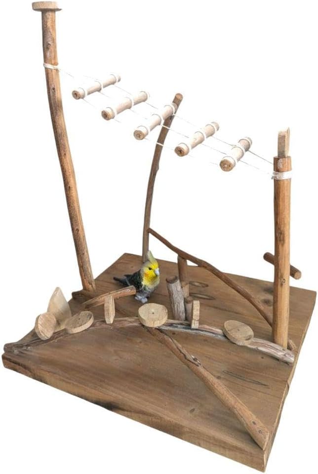 天然流木 No.4 バードアスレチック - YILANC-ART.COM