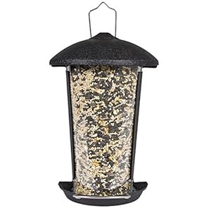 Perky-Pet Kleine Muur of Post Mount Wild Bird Feeder, Houdt 500 g Vogelzaad #101-5