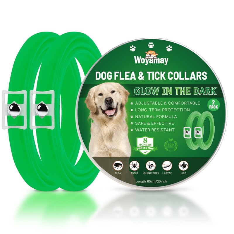 Woyamay Collares Antiparasitarios para Perros, Luminoso Collar Antipulgas Perros, Impermeable Collar Perro de Pulgas y Garrapatas, 8 Meses de Protección para Perros de Todos los Tamaños Verde, 2 Pcs