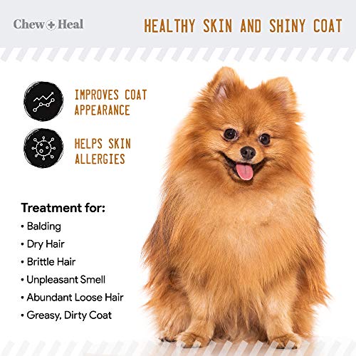 Chew + Heal Salmon Oil For Dogs - 180 Soft Chew Omega Treats For Skin And Coat - Fish Oil Blend Of Essential Fatty Acids, Omega 3, 6, And 9, Vitamins, Antioxidants And Minerals - Made In Usa #TOP7