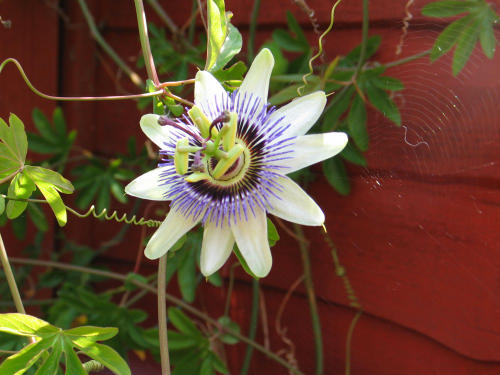 Two journeys for the price of one.