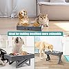 Adjustable Raised Dog Bowl
