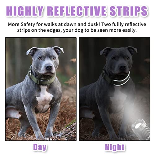 Ultra Soft Padded Martingale Dog Collar - 2" Wide Reflective Limited Slip Collars With Durable Heavy Duty Nylon For Small Medium Large Dogs No Pull Walking Training - Comfort & Safety (Xl,Purple) #TOP3