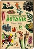 Die wunderbare Welt der Botanik: Eine illustrierte Naturkunde - Carmen Soria 