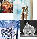  (Joy to the World) Vacaciones Navideñas