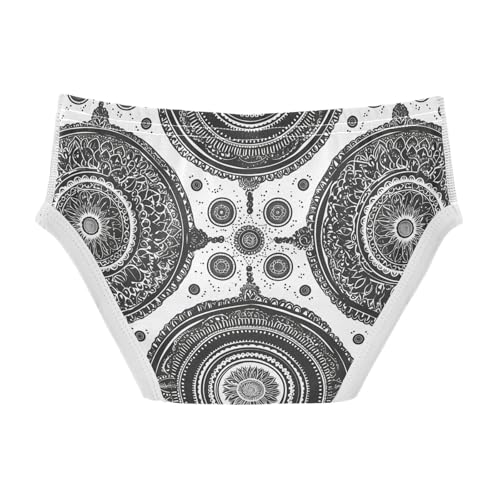 visesunny Boys Potty Training Underwear Pencil Flower Mandala Pattern Breathe Cotton Briefs Size 2T-8Y for Toddler2