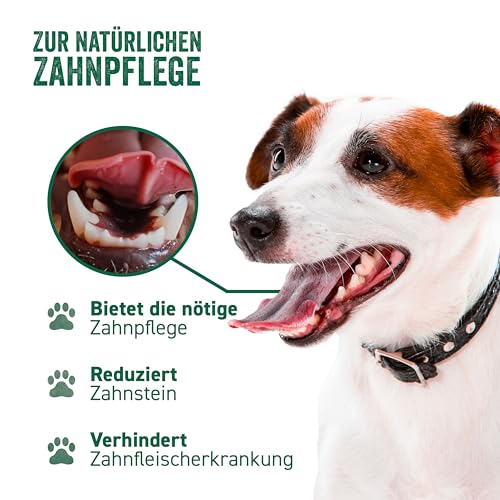GOODWOOD - Kauknochen S (3er Set) - Kaffeeholz - für kleine Hunde - natürliche Zahnpflege, beugt Zahnstein & Zahnfleischerkrankungen vor - 100% natürlich & koffeinfrei - vegan