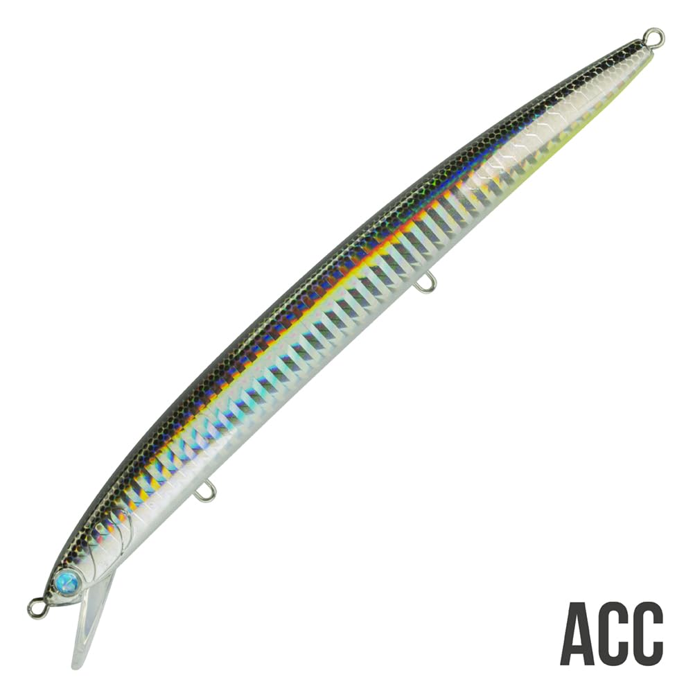 Seaspin Mommotti 160 S – Kunstköder zum Spinnfischen, sinkender Long Jerk Minnow 160 mm 24 g – stabile Aktion, Weitwurf – für Meeresräuber