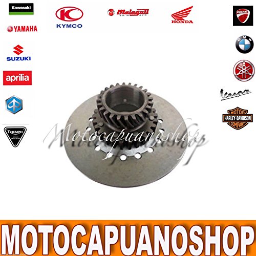 Pinasco pignone ingranaggio frizione 23 denti