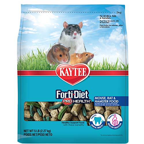 Best Food For Mice