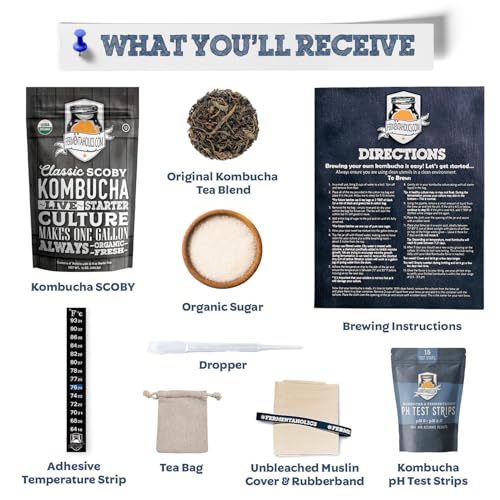 Image of Fermentaholics ORGANIC Kombucha SCOBY With Twelve Ounces of Starter Tea - Live Starter Culture - Makes A One Gallon Batch - 1.5 Cups of Strong Mature Starter Tea - Brew Your Own Kombucha (Kombucha Scoby Starter Pack)