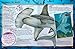 100 Facts Sharks- Marine Biology, Educational Projects, Fun Activities, Quizzes and More!