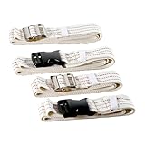 Healthy You Gait/Transfer Belt 2