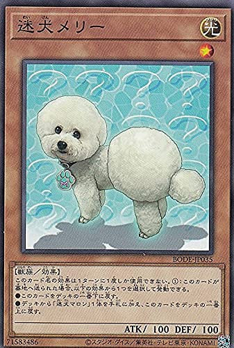 Amazon.co.jp: 遊戯王 BODE-JP035 迷犬メリー (日本語版