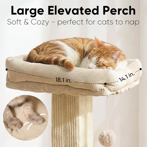 FUKUMARU Cat Scratching Post, Modern Style Tall Scratch Posts with Perch for Infoor Cats Adults, Large Cat Scratcher Tower with Bed, Small Tree with Raised Stand, Natural Sisal & Solid Wood by FUKUMARU - Image 5