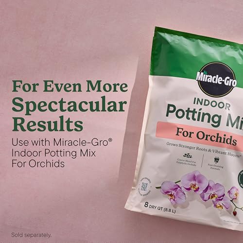 Miracle-Gro Water Soluble All Purpose Plant Food, 5 lbs. (6-Pack) - image 9