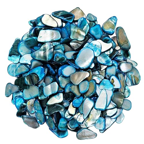 EDSRDUS Natural Crushed Shells Chips Irregular Mother of Pearl Seashell Fragments Sea Shell Pieces for DIY Crafts, Vase Filler, Decorating, Home Décor