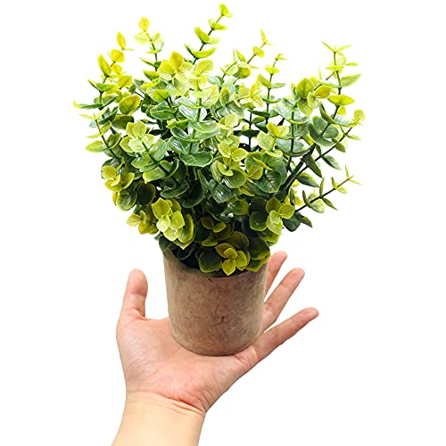 Svenee Mini Potted Plants Artificial Flocked Eucalyptus Greenery In Pots Faux Potted Herbs Small Houseplants For Indoor Outdoor Greenery Tabletop Decoration Centerpiece, Garden,Farmhouse (1) #TOP1