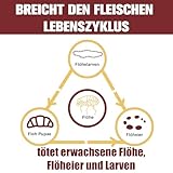 Advanllent Zeckenschutz für Hunde 6 Pipetten, Spot On Zeckenmittel für Extra große Hunde 30 bis 50 kg, Flohmittel Entwurmungsmittel, Gegen Flöhe & Zecken