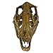Velociraptor Dinosaur Skull (Recreation)