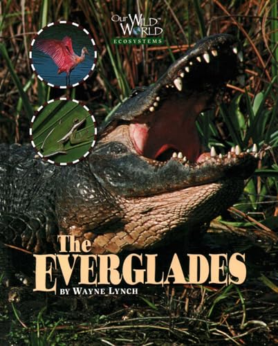 Everglades (Our Wild World)
