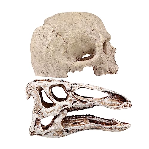 VANZACK 2Aȋ^N ??fUC ঒ރVF^[єɐBnEX  كCAEg