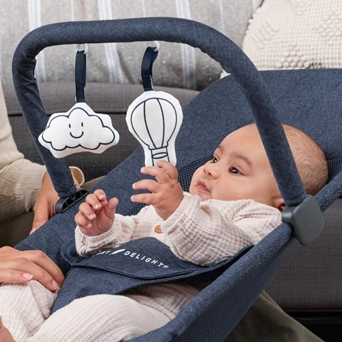Image of Baby Delight Alpine Deluxe Portable Bouncer, Infant, 0 - 6 Months, Quilted Indigo