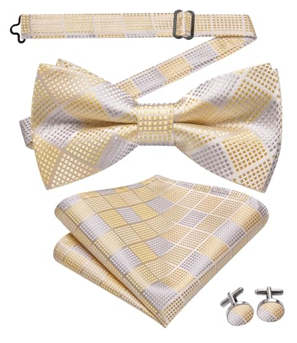 Image of Dubulle Mens Paisley Striped Bowtie Set Pre-tied Bowtie for Men and Pocket Square Set Wedding Business